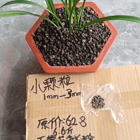 明***白兰菌黑山土小颗粒6.6斤