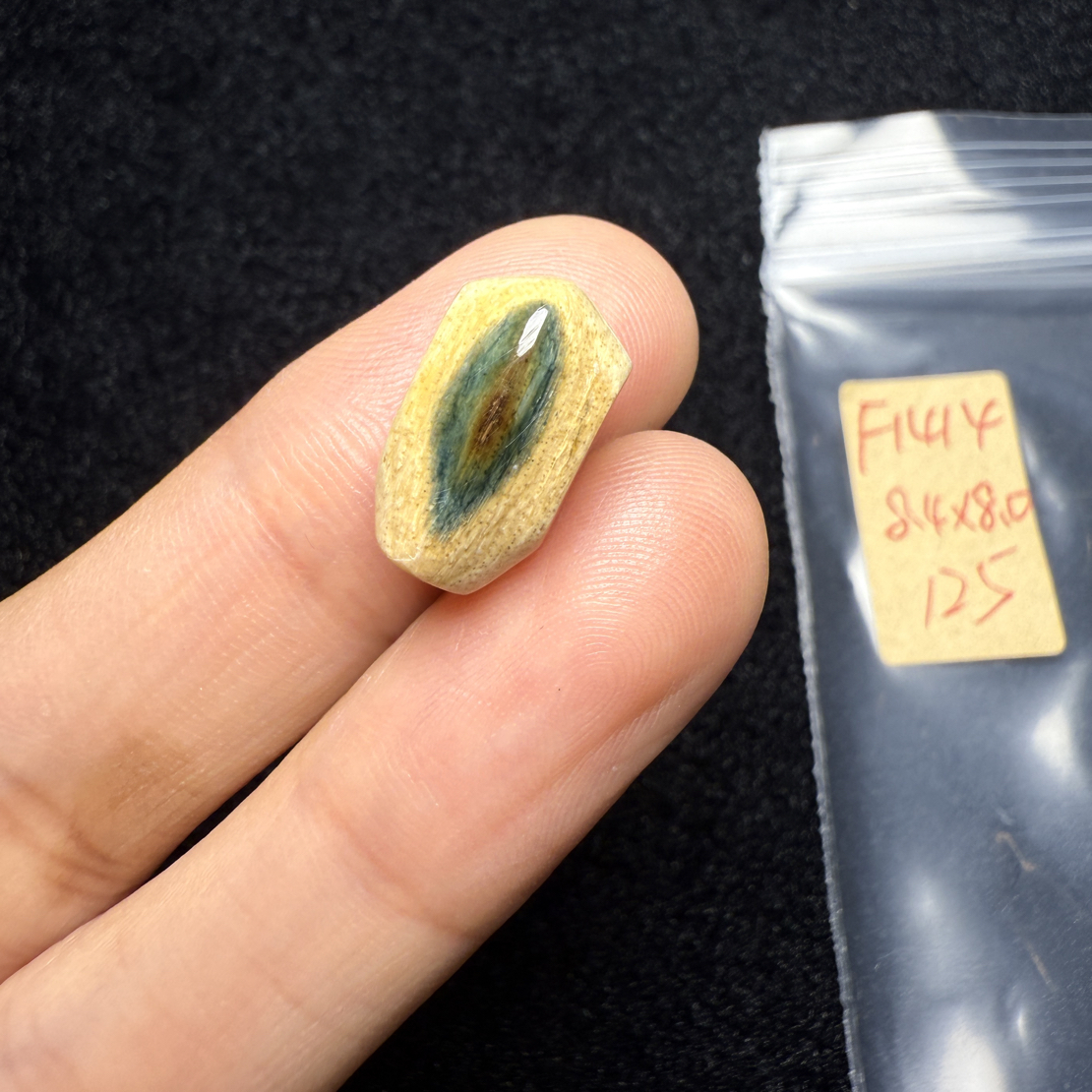 F1414猛犸象牙蓝皮鲨鱼背三通尺寸8.4*8蓝眼睛鲨鱼背三通
