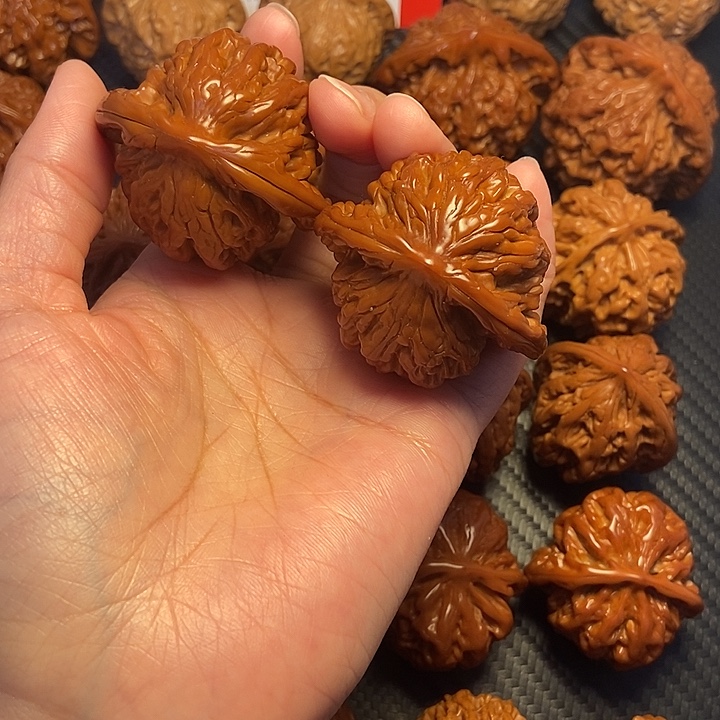 木质类45狮虎兽。         