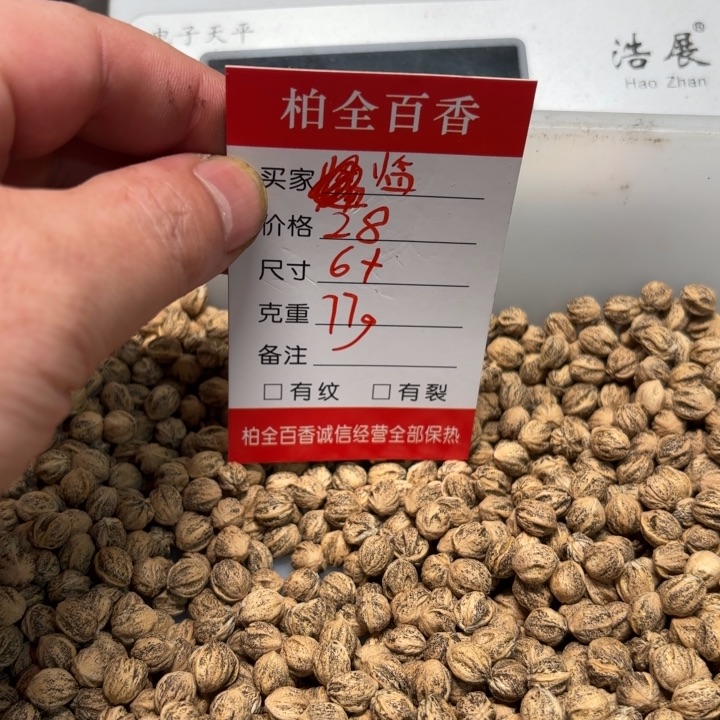 临****司柏香籽散子 77 克散子