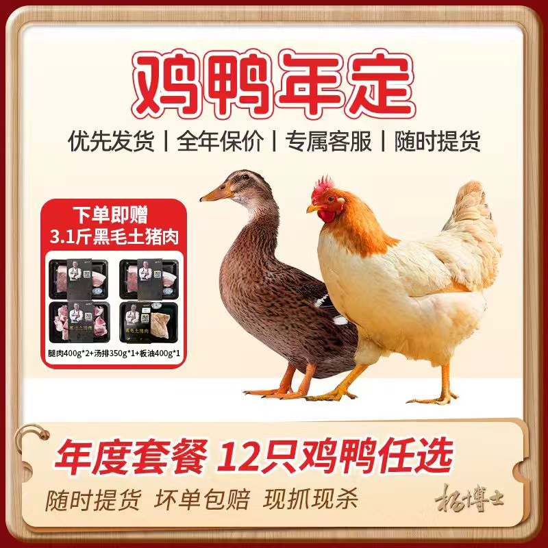 【鸡鸭年定12只】杨博士皖南深山散养土鸡老母鸡土鸭小河鸭随时提货