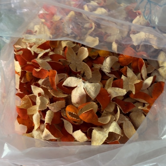 红橘四川川红橘陈皮