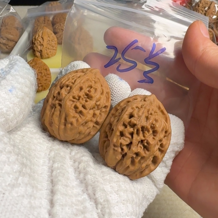 文玩核桃把件全品凤凰台37
