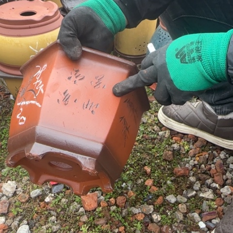 红陶紫砂花盆盆景盆栽