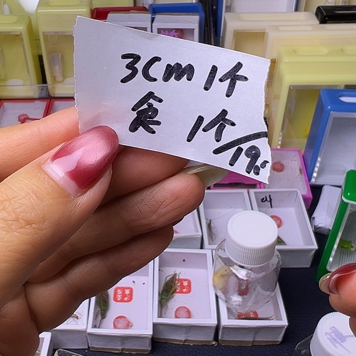 配件哈哈哈哈哈哈哈哈哈哈