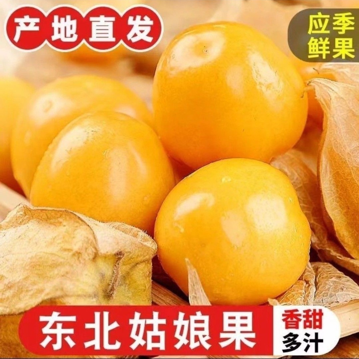 【头茬大果】东北姑娘果产地直发灯笼果一整箱包邮黄菇娘果当季水果