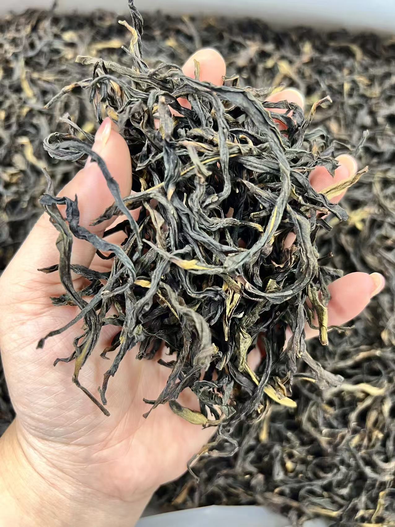 头春芽鸭屎香 轻火型 凤凰单丛茶 250-500克 