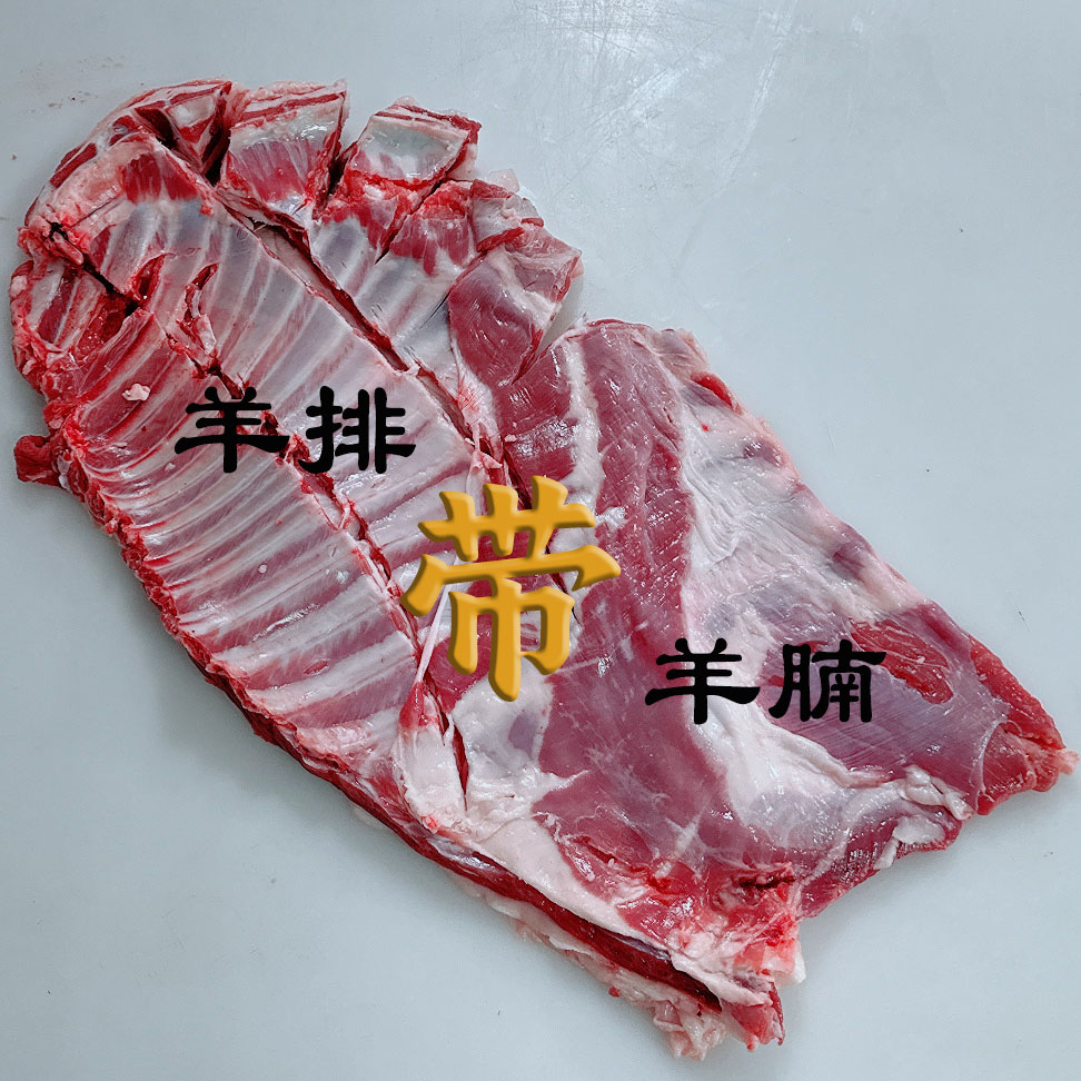 【带骨羊排】内蒙新鲜断骨连肉棉羔羊带骨羊排红烧清炖烤羊排