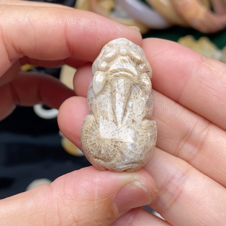 硅化珊瑚（珊瑚玉）手镯未镶嵌