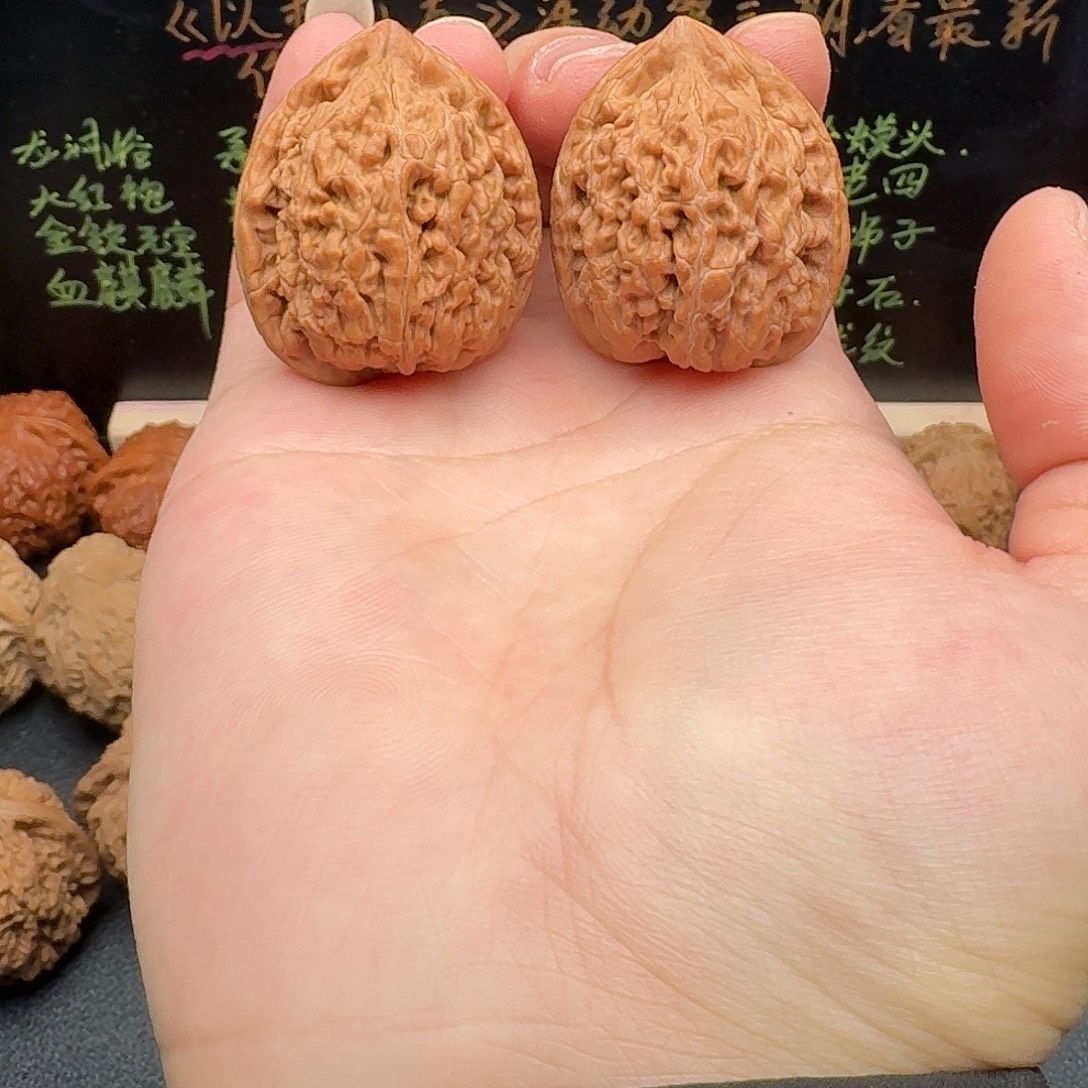 34小众蚂蚁王文玩核桃