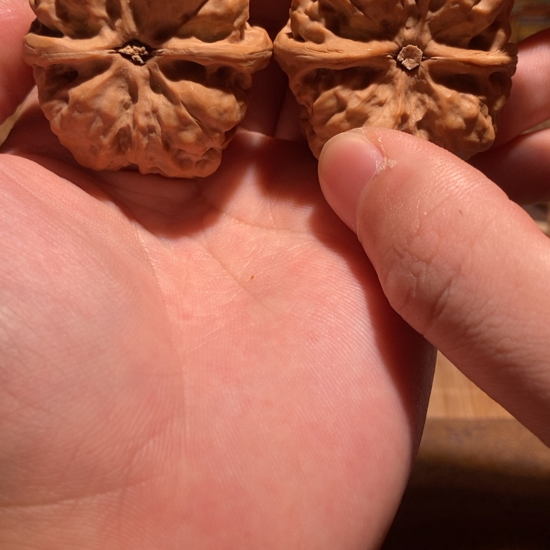 哇***哈文玩核桃吊坠蛤蟆头D37