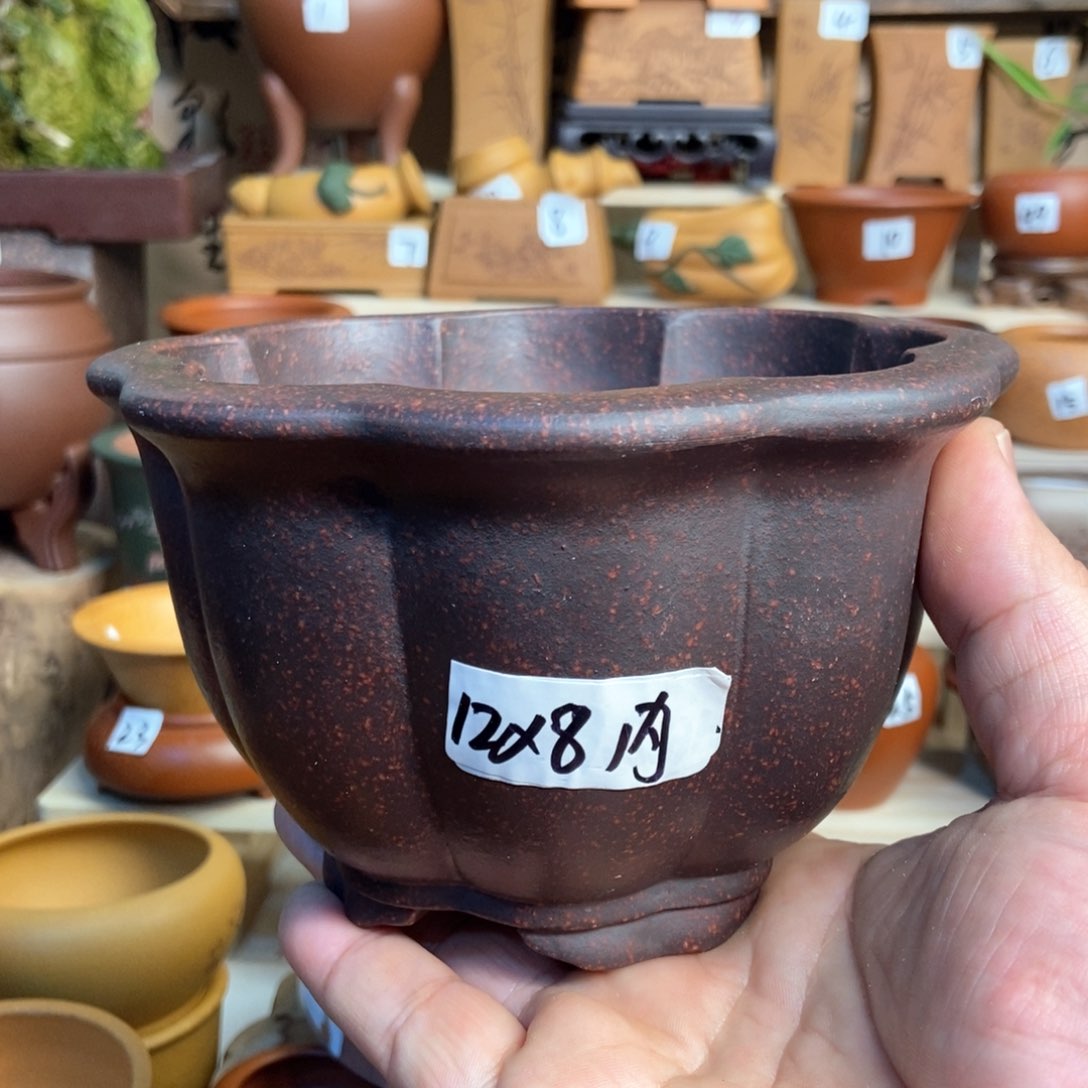 紫砂花盆孙伟，内口经尺寸12×8