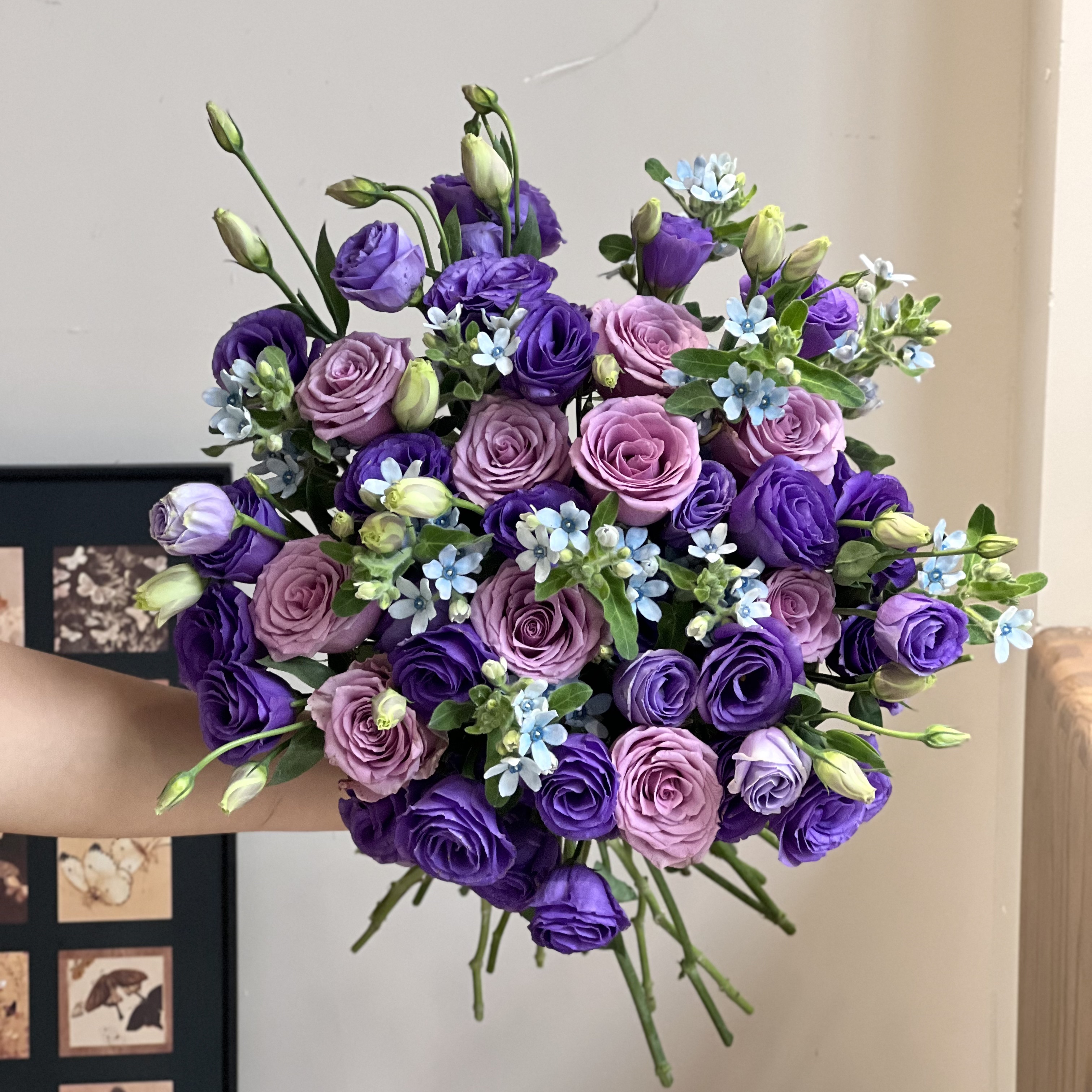 【紫玫瑰10支+紫色洋桔梗400克+蓝星花】云南鲜花组合基地直发