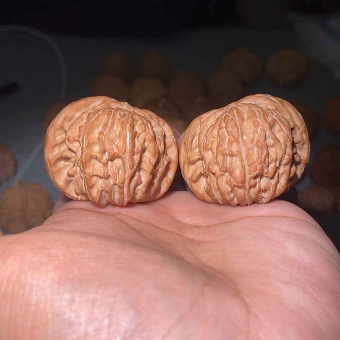 不***意桃核吊坠42尺蝴蝶磨