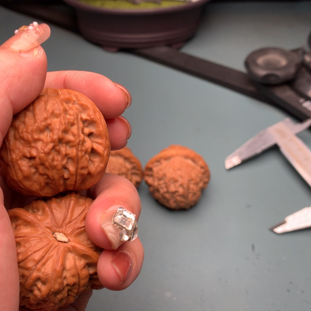 文玩核桃把件金麒麟4445