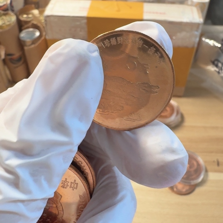 其他普通金属（带油圈）扬子鳄，福利款