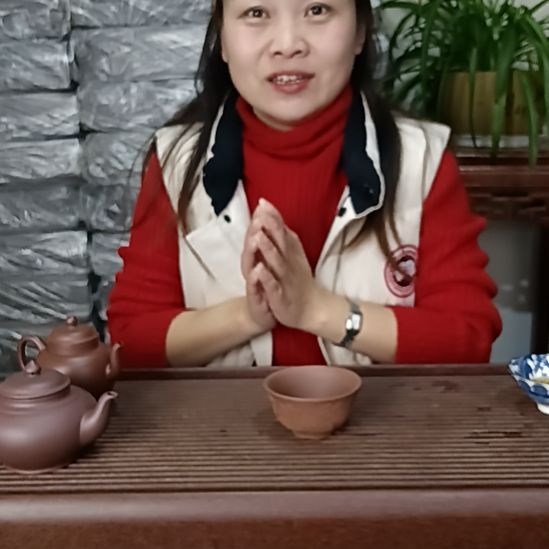 茶杯紫砂宜兴紫砂壶