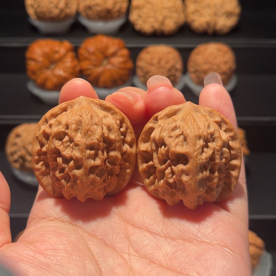 全品，精品，37野狼095