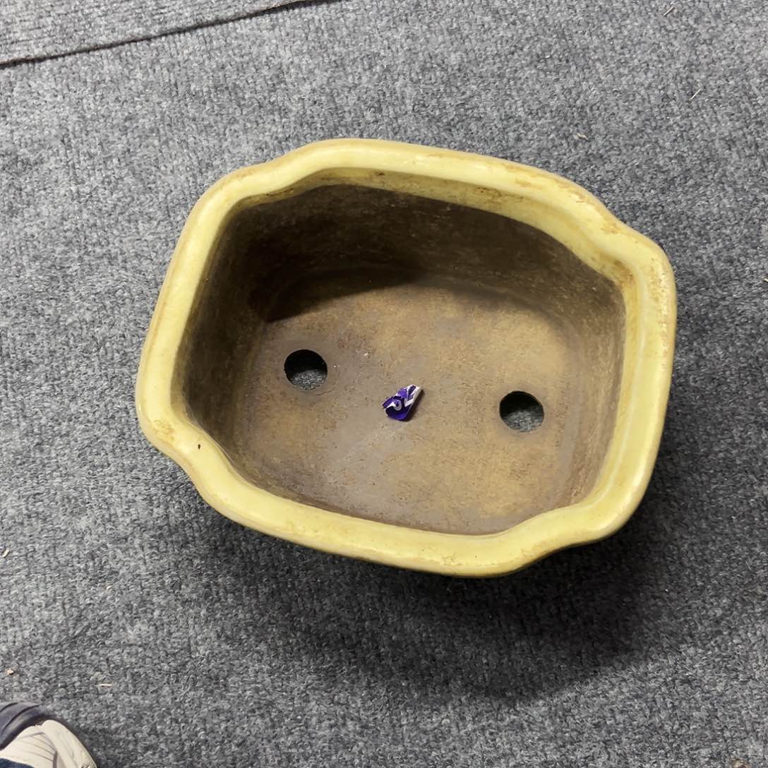 枀***廬对你的喜欢就如同这日子只增不减622