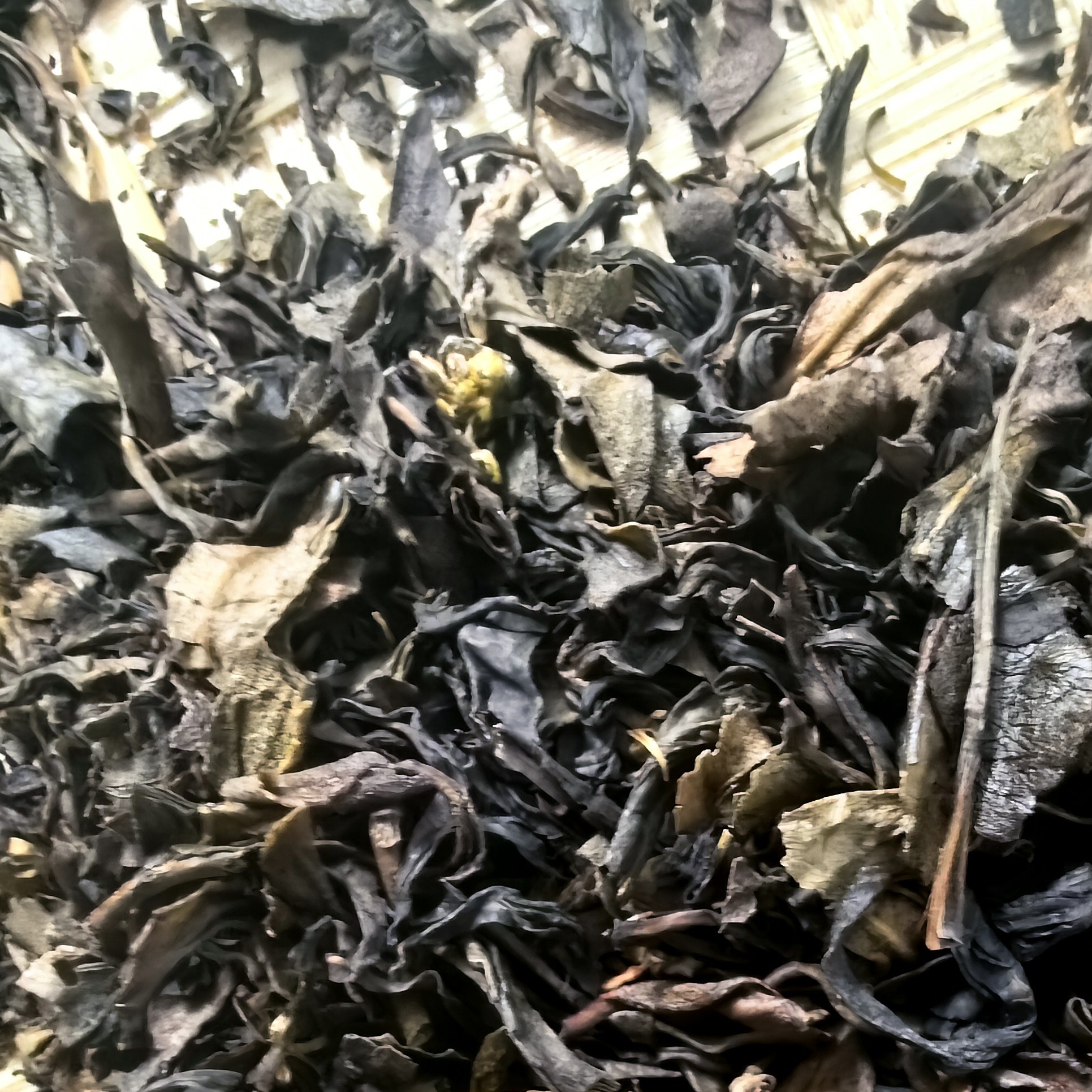 茶头链接杏仁香（锯垛仔）茶碎茶头