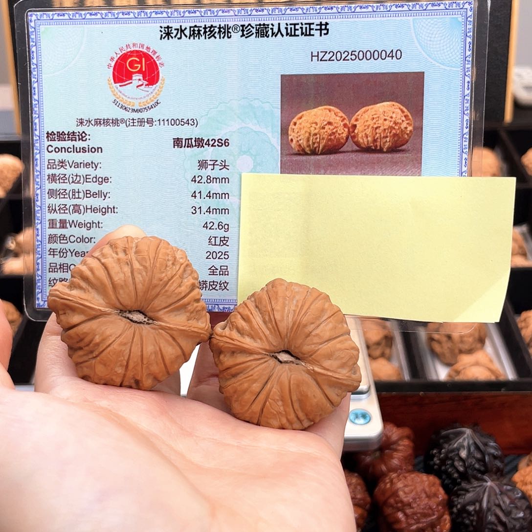 把件文玩核桃太阳花全品大圆瓜一字底蝴蝶肩42S6