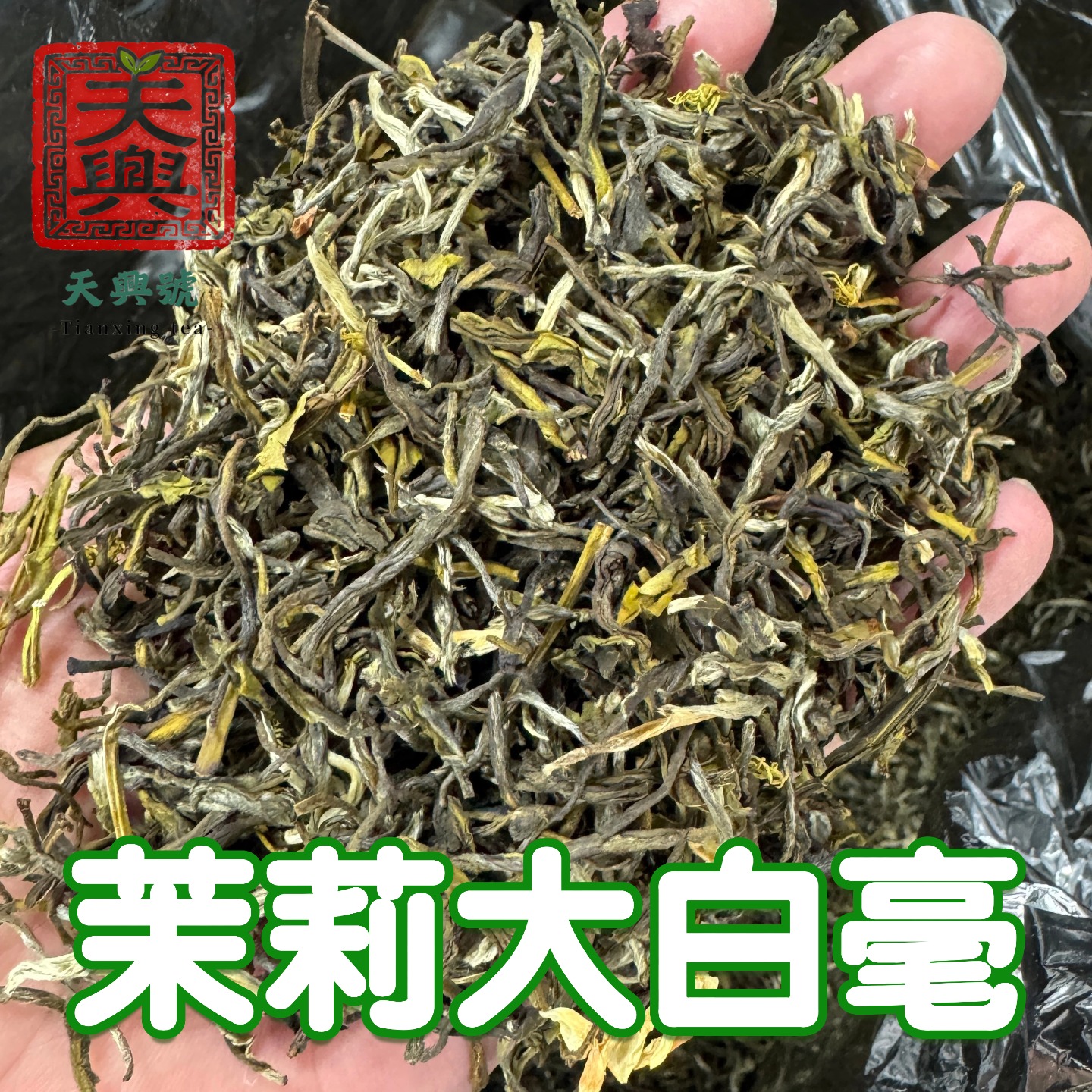 【天興號】茉莉大白毫2025新茶茉莉花茶浓香经典口粮茶试喝厂家直销