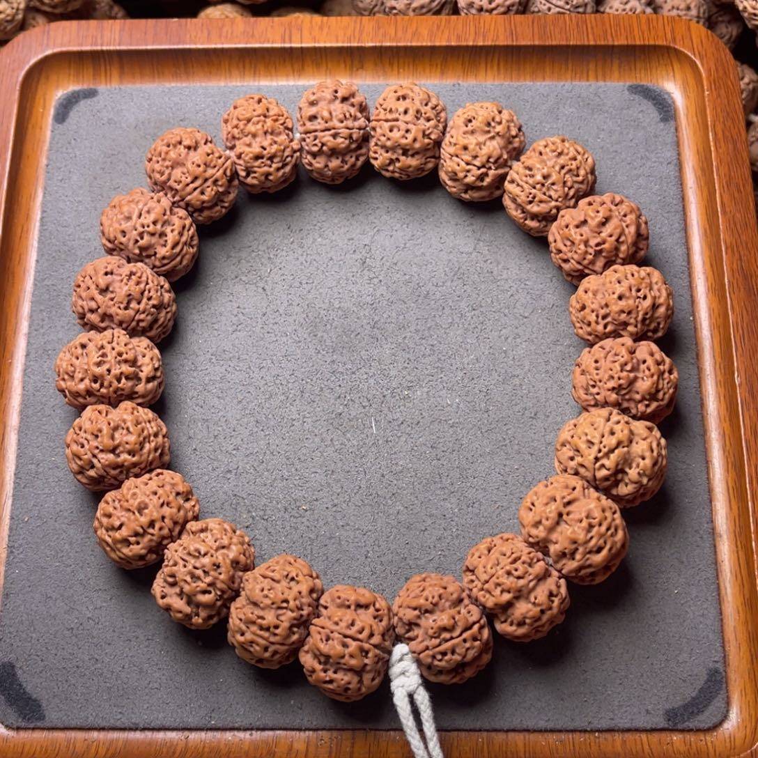 菩提籽类21号金刚菩提矮壮梅花手持22+