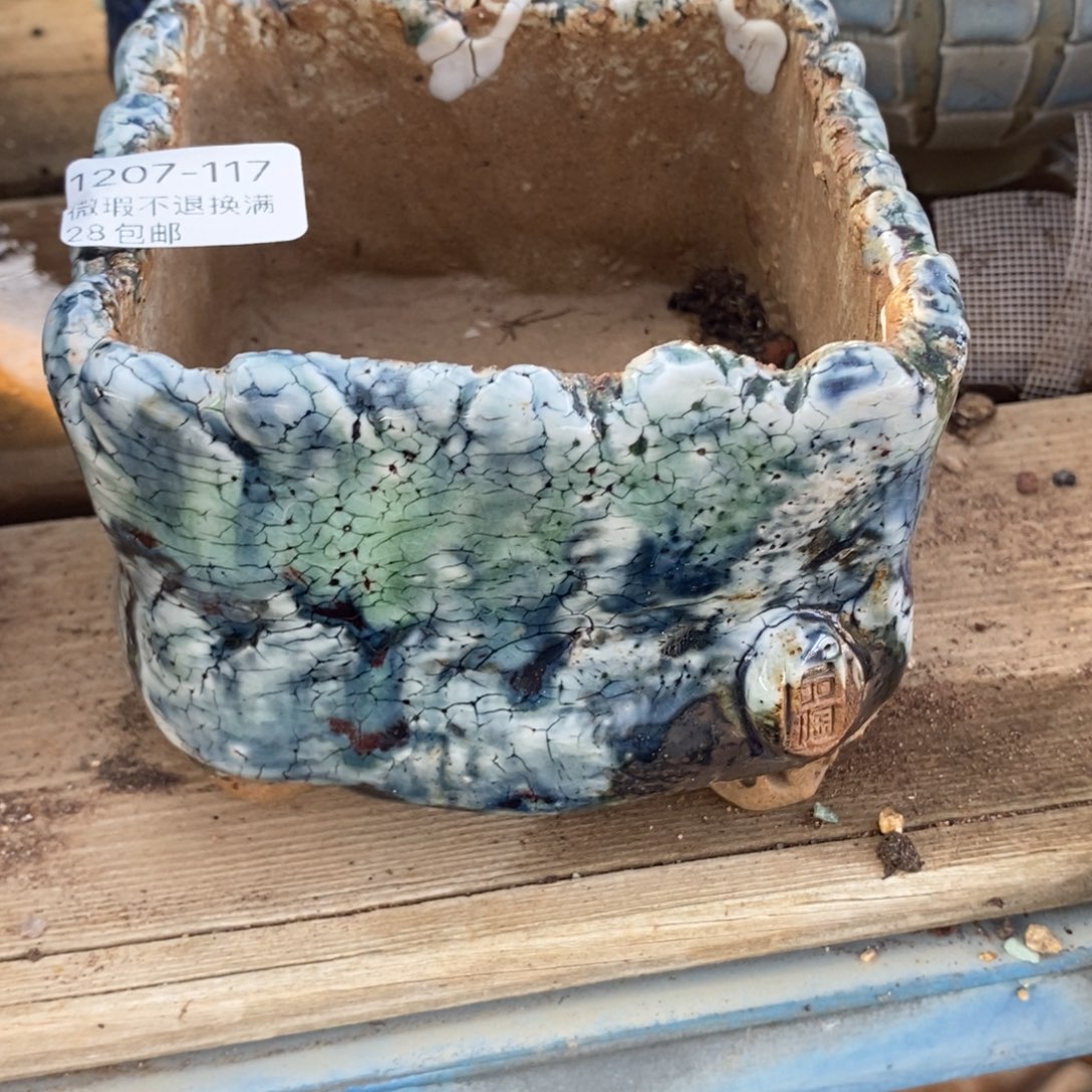 117号多肉盆口径9.5