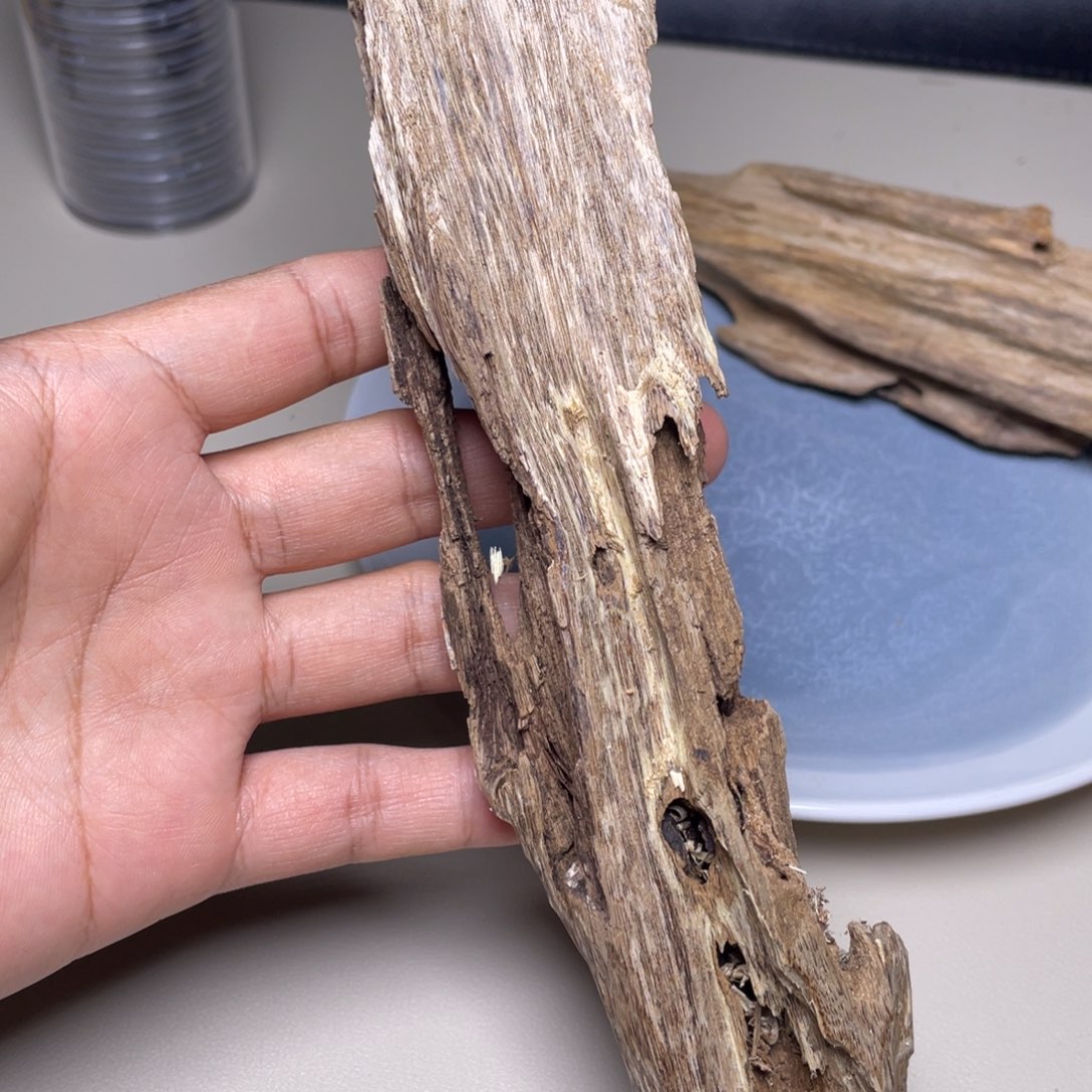 香榧木海南天然木艺品53克