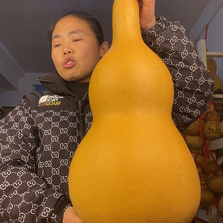 天然葫芦一物一图看图片发货