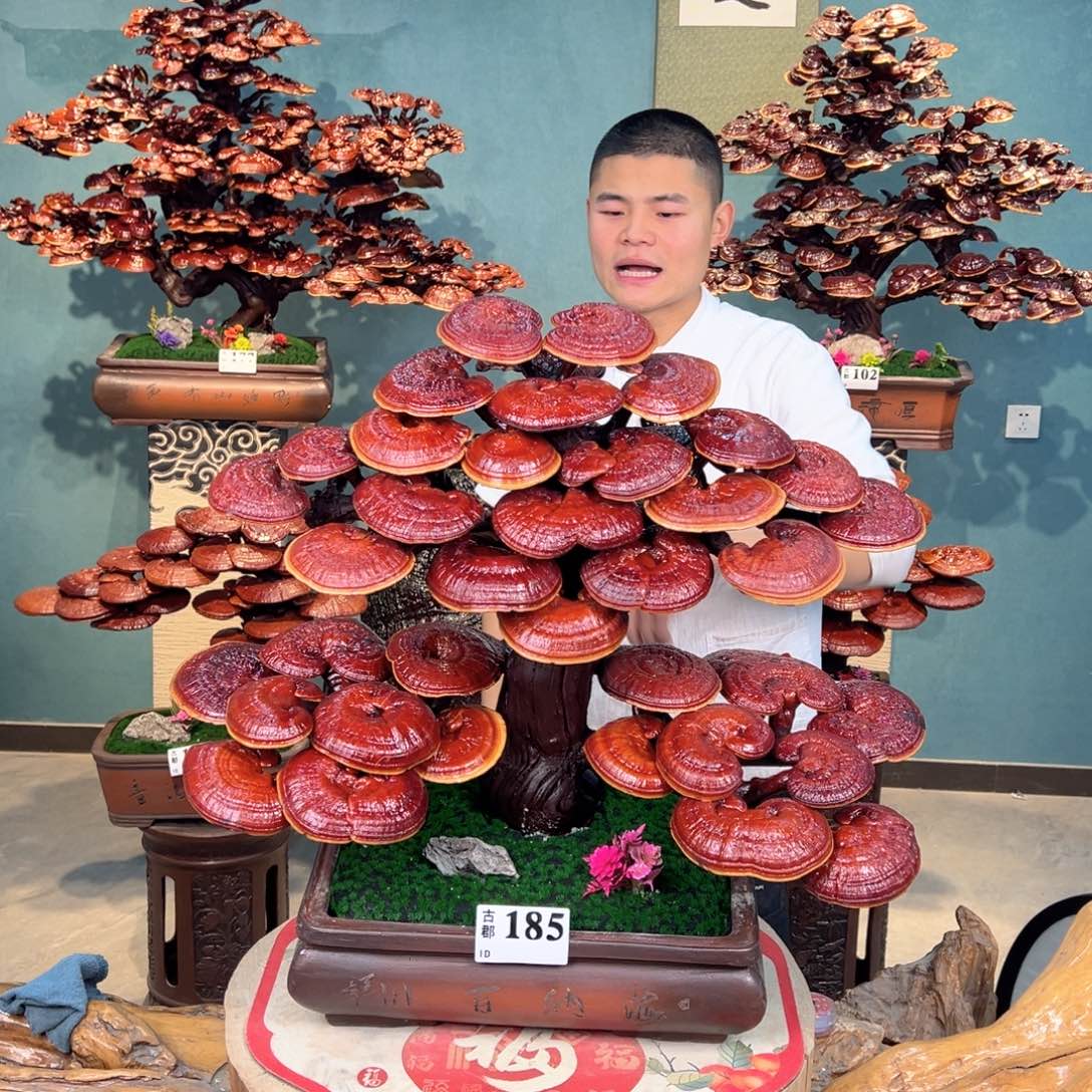 无花朵48888888888