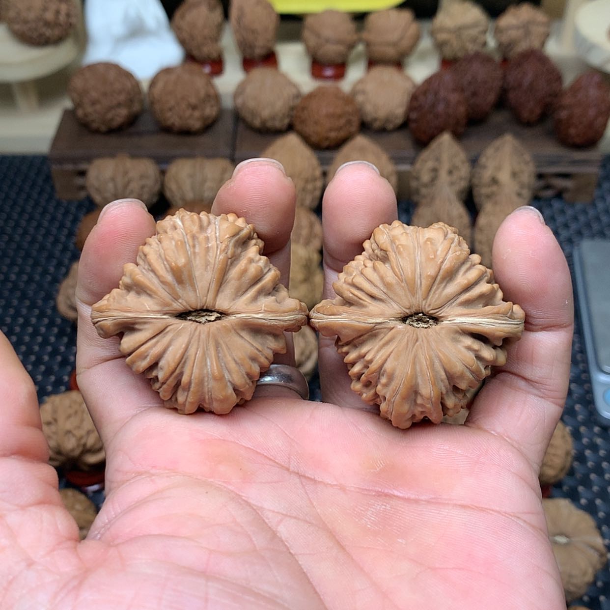 【闪购商品】文玩核桃把件全品山地四座楼狮子头46文玩核桃