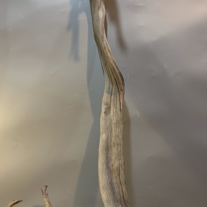 山***峰崖柏高油纹理骨料