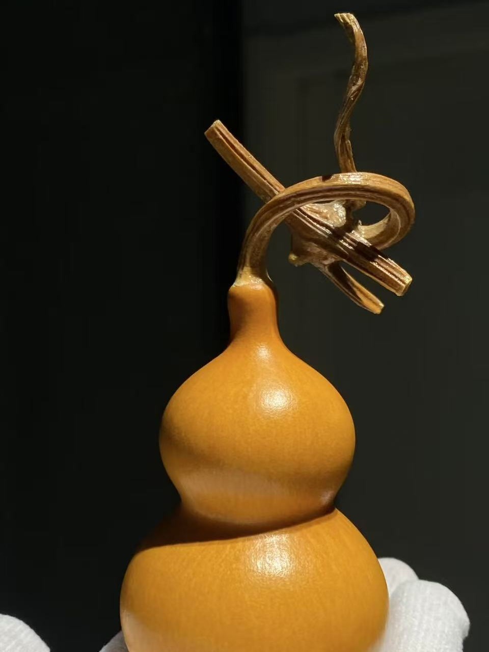 蚂蚁杆，长嘴八宝生打皮教程