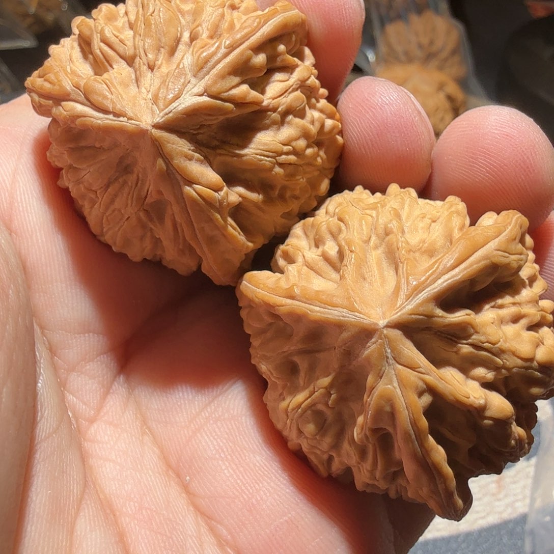 文玩核桃把件御龙正奔