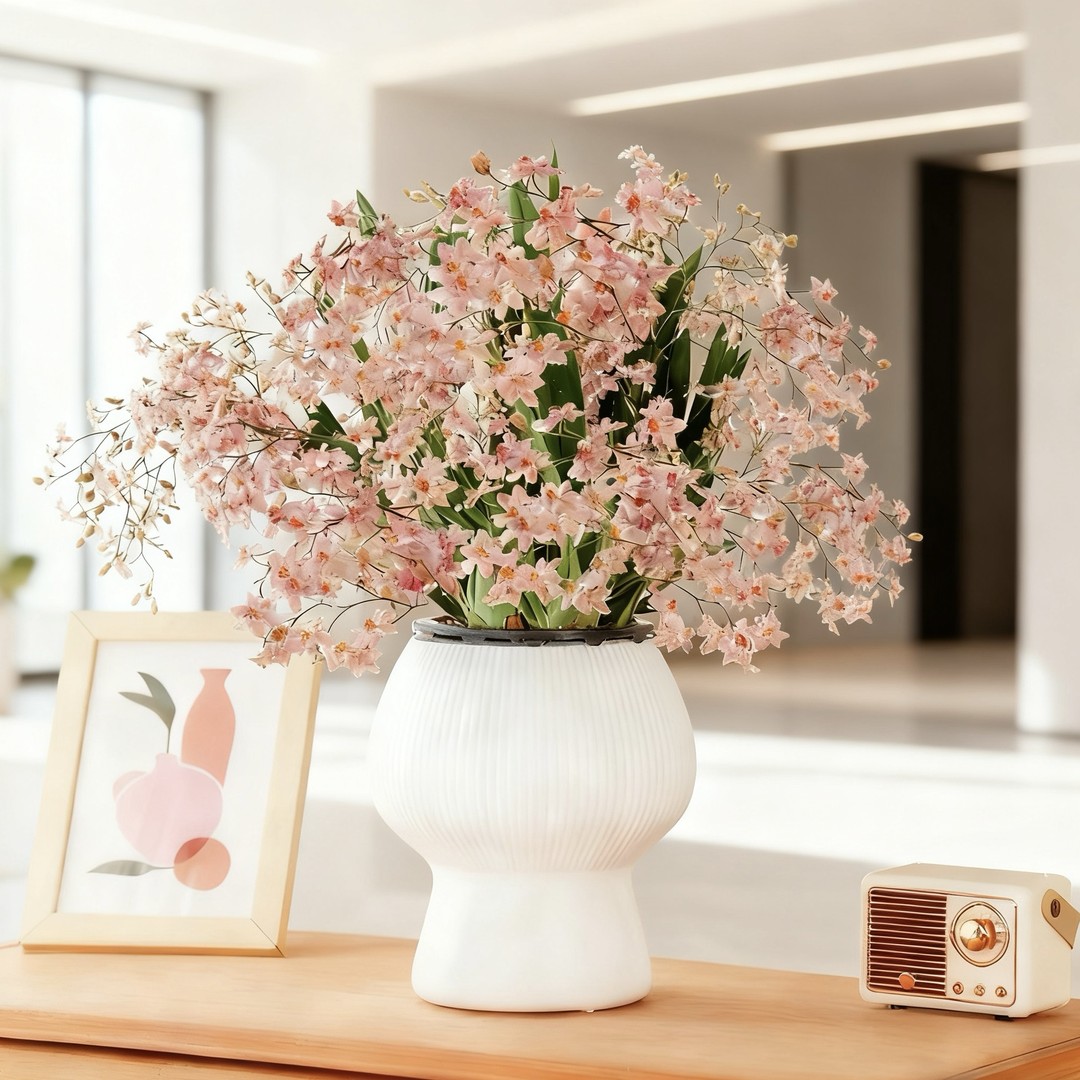 【送蘑菇花盆】7-10支花剑粉色梦香兰文心兰精致兰花名贵花卉盆栽