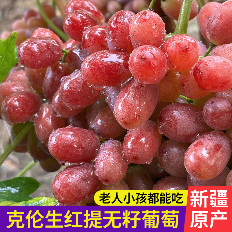 何【顺丰明日达】新疆八十五兵团“克伦生无籽红提”脆甜新鲜当季水果绿色证书A级认证9.21新疆维吾尔自治区