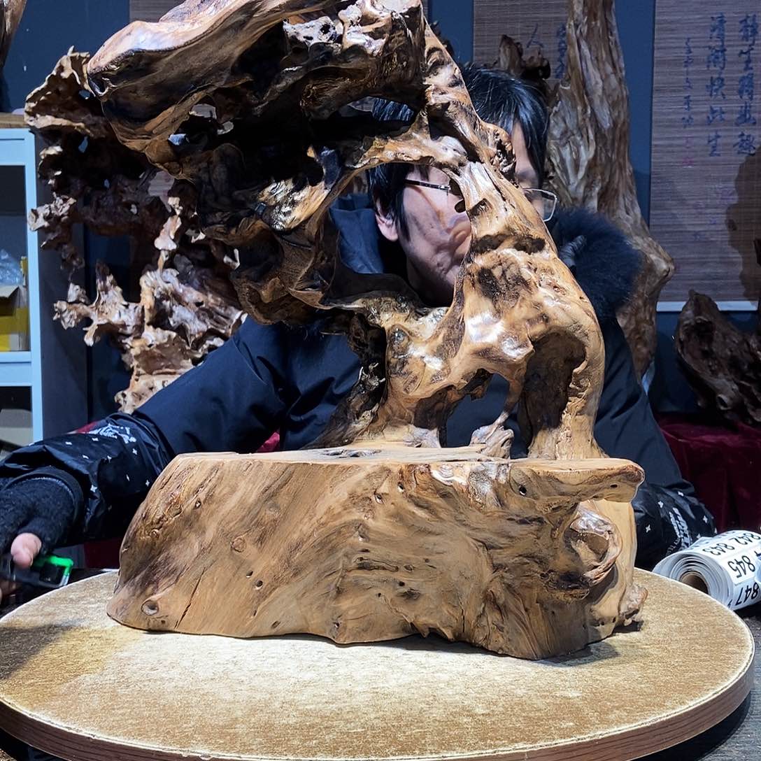 金***塬838。株木随行根艺