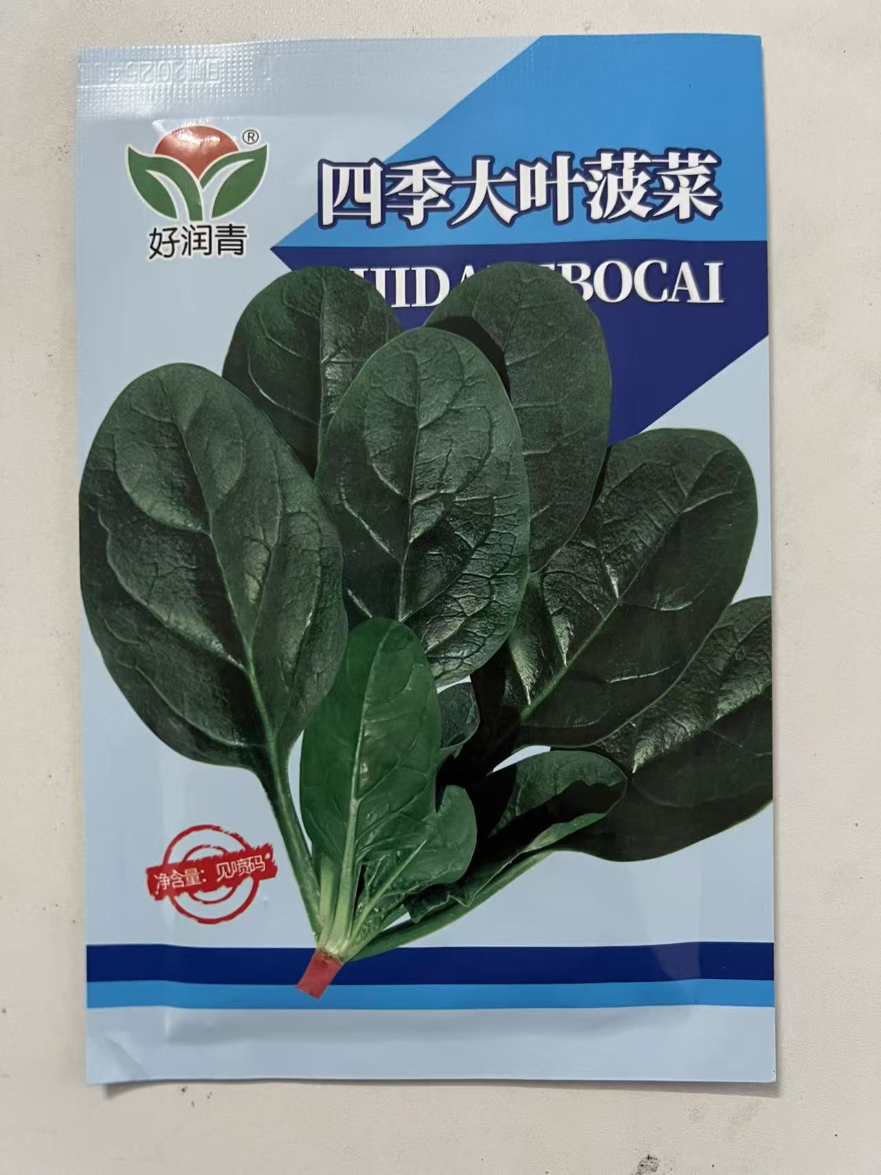 四季大叶菠菜小菜园种植冬季蔬菜种子