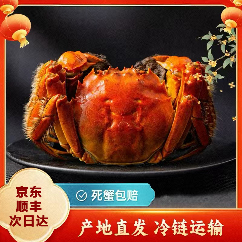 6两公【活蟹】正宗阳澄苏州大闸蟹+公6两-5.7两/只*六/八/十只装 现捕捞 空运包邮