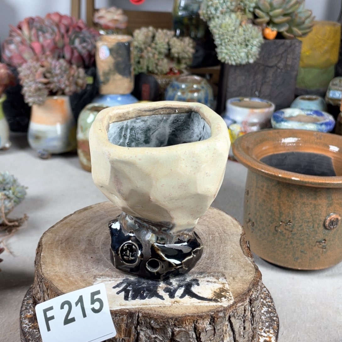 紫砂花盆开播福利 陶瓷花盆