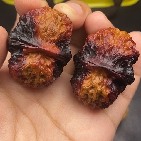 文玩核桃把件霖*宝43尺云南核桃