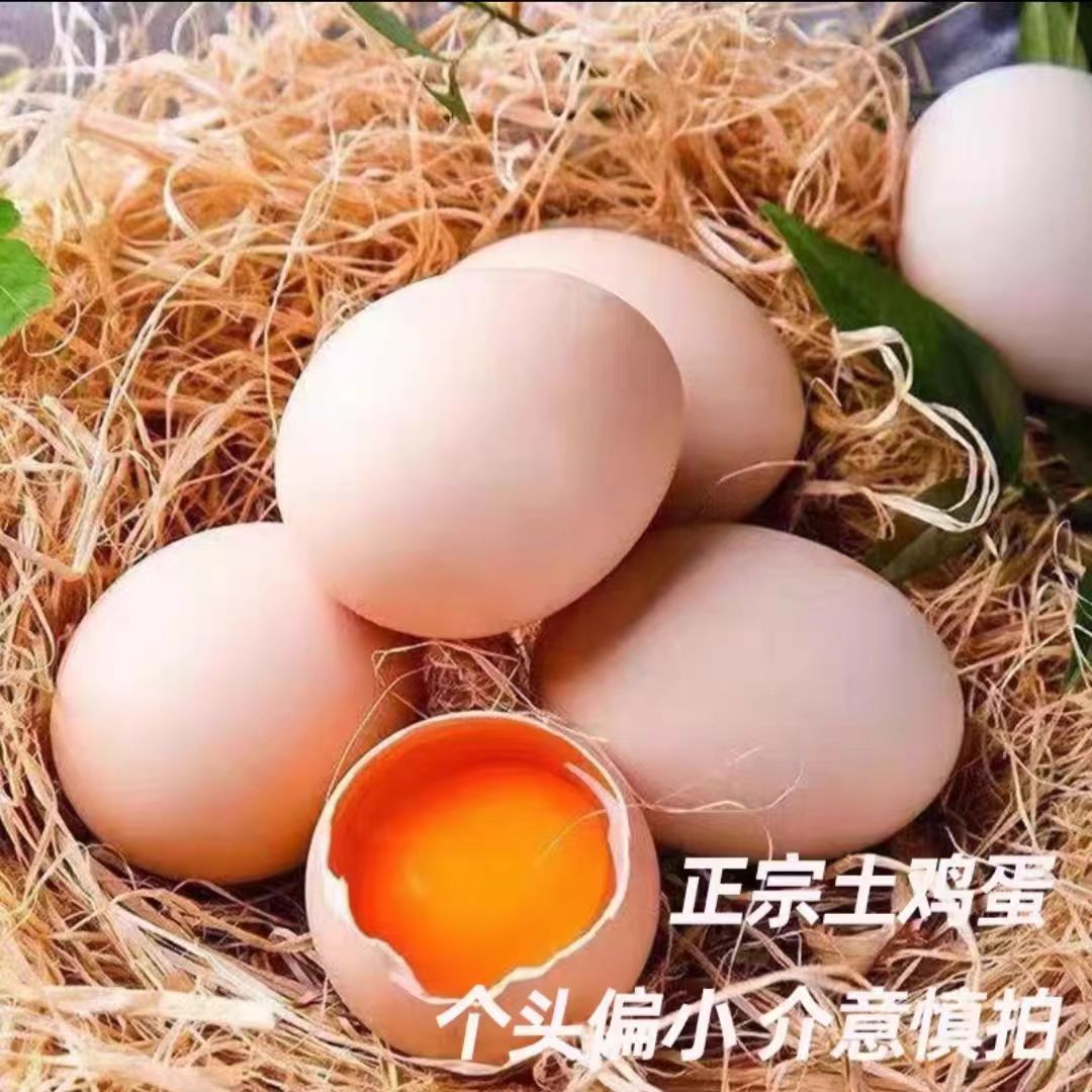 晨诚散养土鸡蛋农家散养土鸡蛋营养谷物草鸡蛋新鲜柴鸡蛋80枚