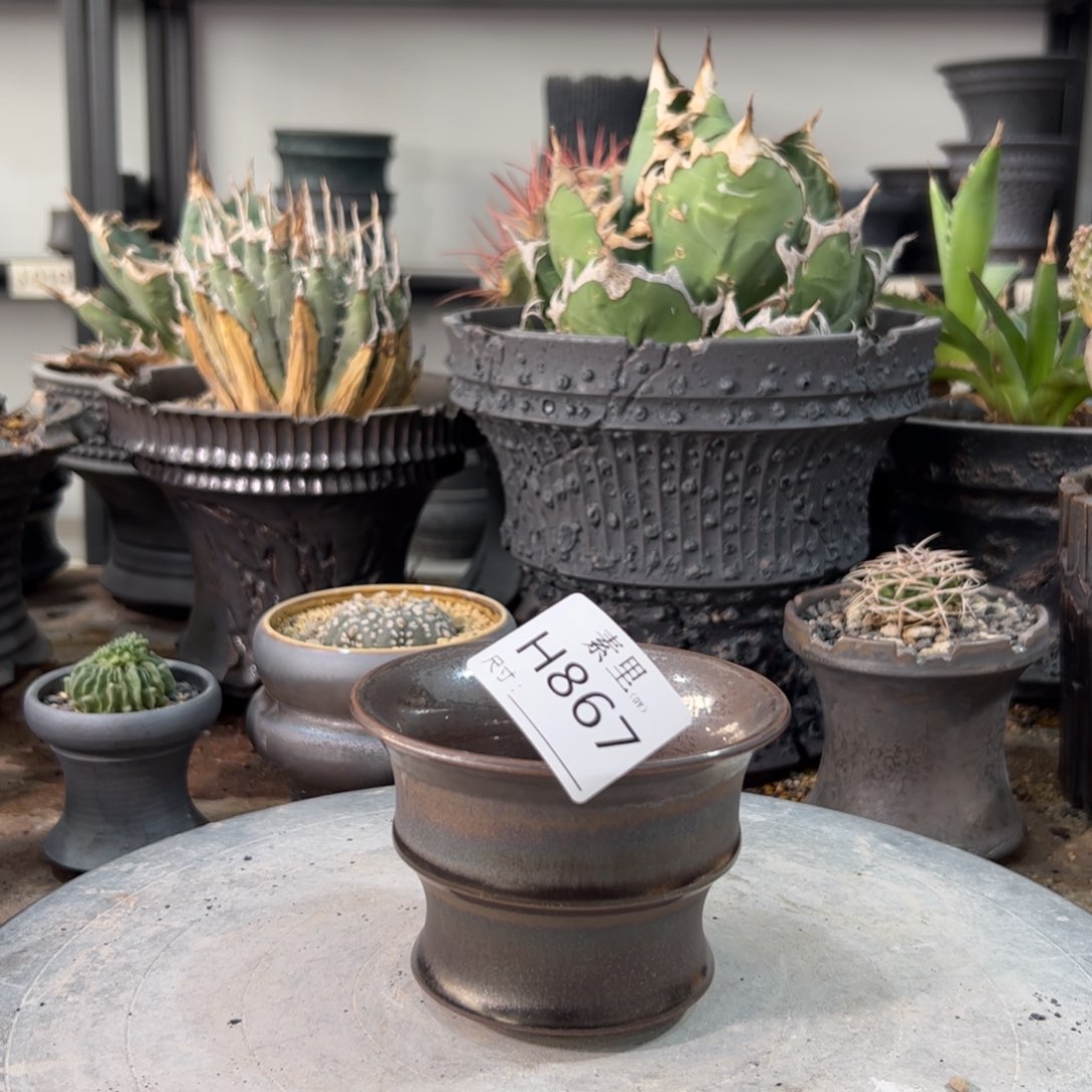 景德镇手工素里内口9.6高7