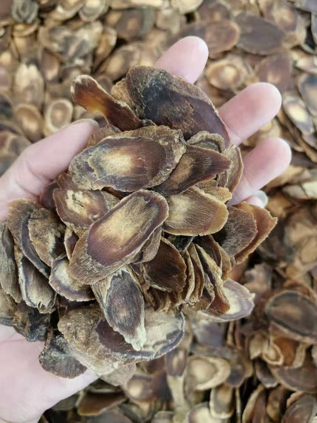 高丽参片 适合炖汤滋补