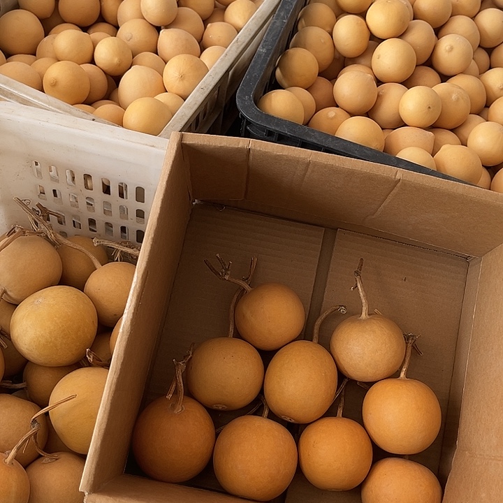 鸡蛋厚皮漂亮漂亮