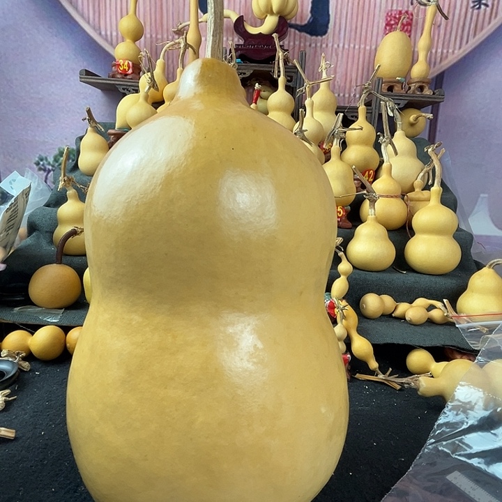 风***云天然葫芦葫芦葫芦葫芦