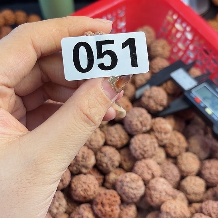 我***困金刚菩提手串0051