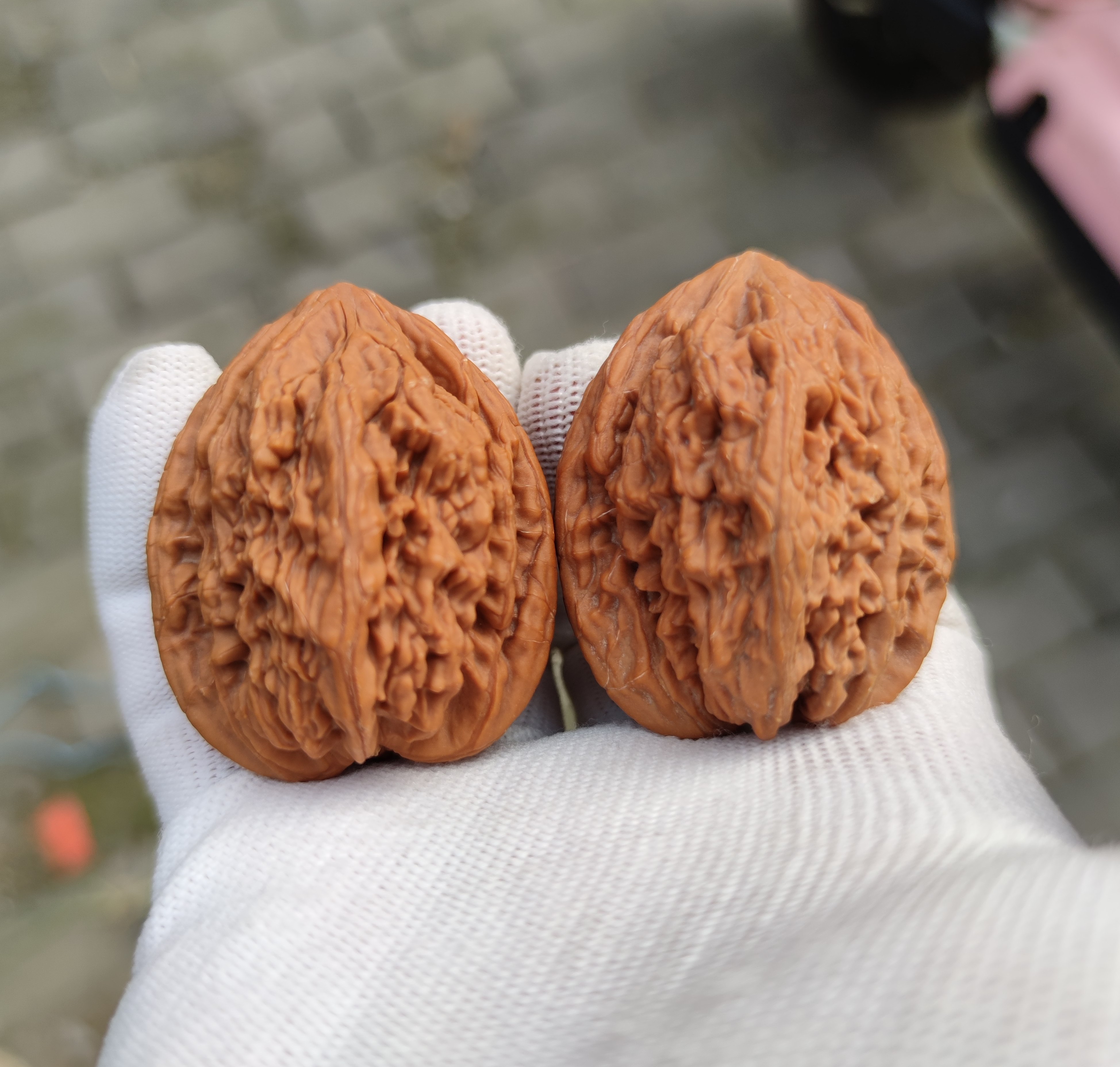 虎头王文玩核桃边41.5肚43/42.5高50.1/50.5克重52.2