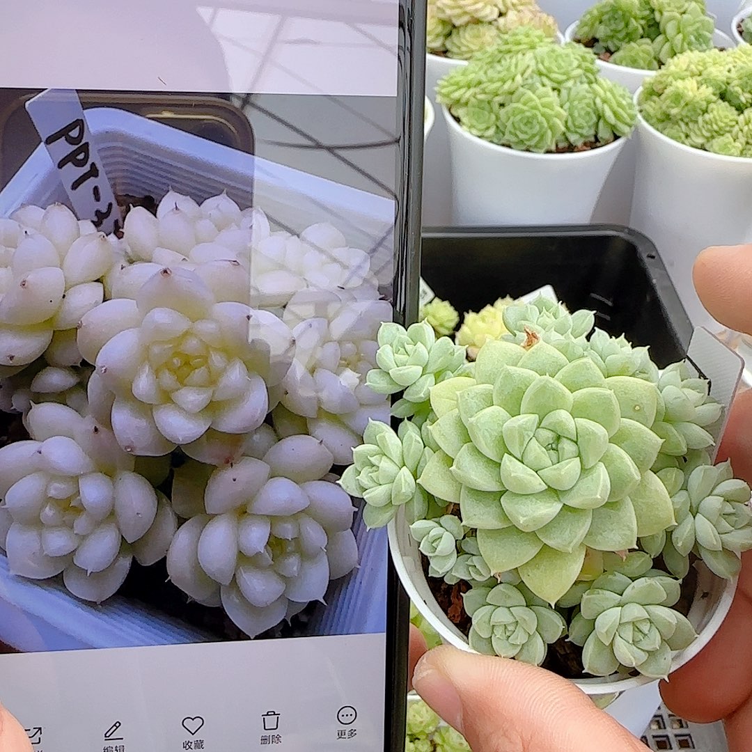 【闪购商品】0813-23（ppt-37）